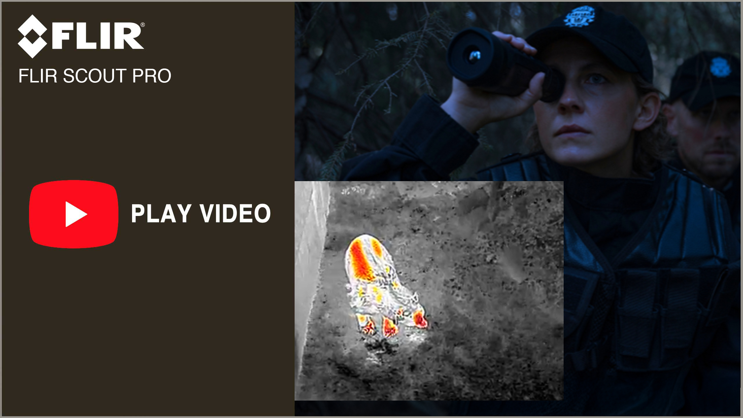 熊の捜索、獣害対策